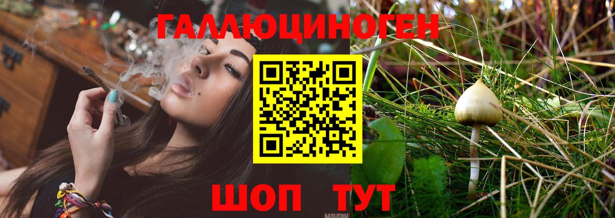 Галлюциногенные грибы Psilocybe  Вход с VPN  Анапа 