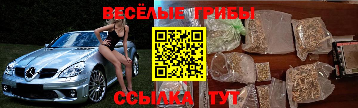 Псилоцибиновые грибы GOLDEN TEACHER Анапа